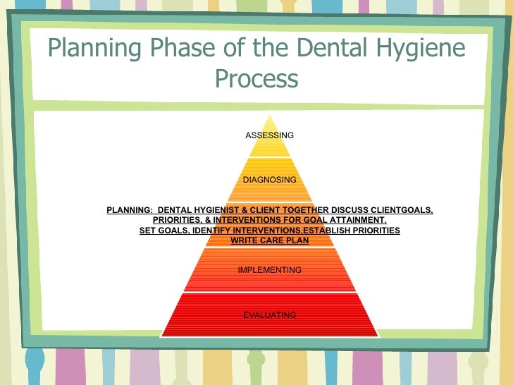 Pre Clinic Theory Care Plan