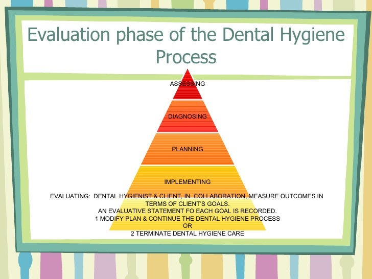 Pre Clinic Theory Care Plan