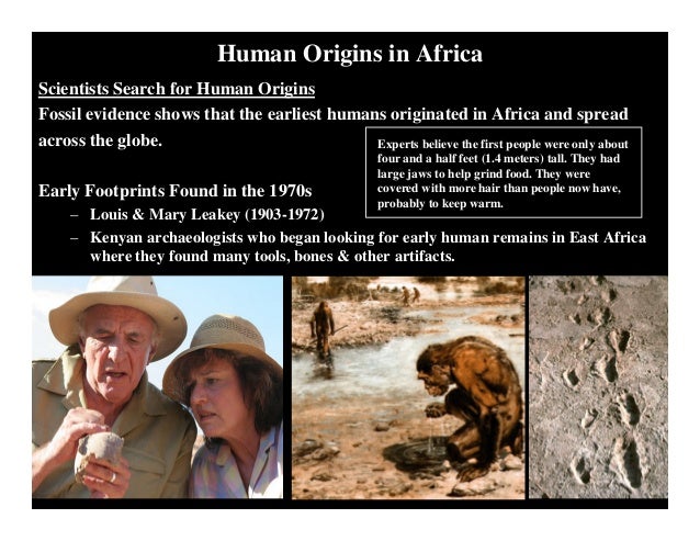 out of africa vs multiregional theory out of africa vs multiregional theory