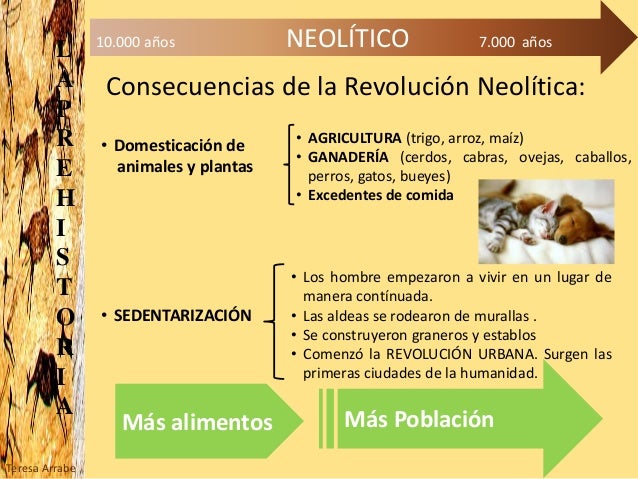 Prehistoria neolitico Prehistoria neolitico