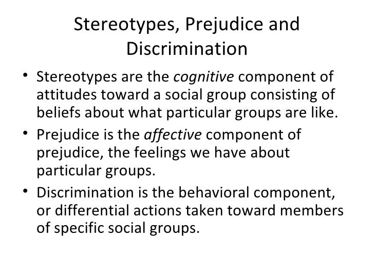 The Importance Of English Essay Synthesis Essay Introduction Example also Health Essay Example Essays On Discrimination And Prejudice Essay On Modern Science