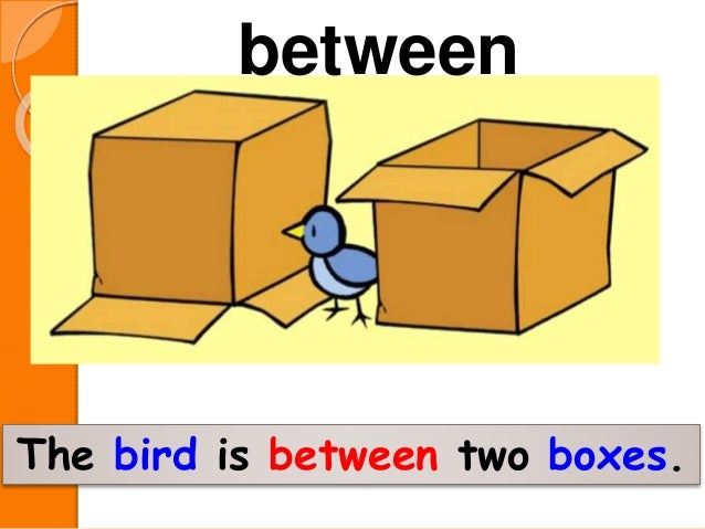 Prepositions of place Prepositions of place