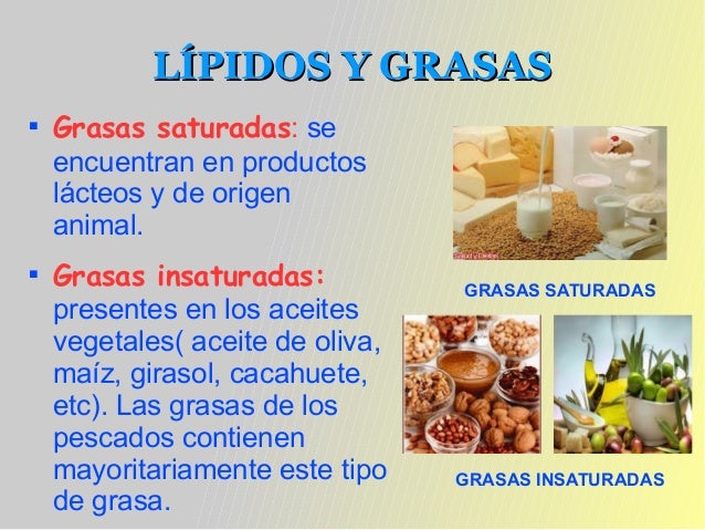 La baya de bosque para el adelgazamiento