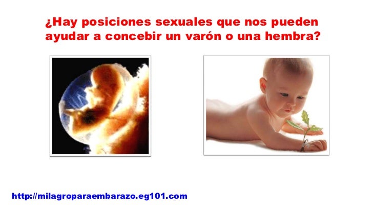 dias fertiles y test de embarazo