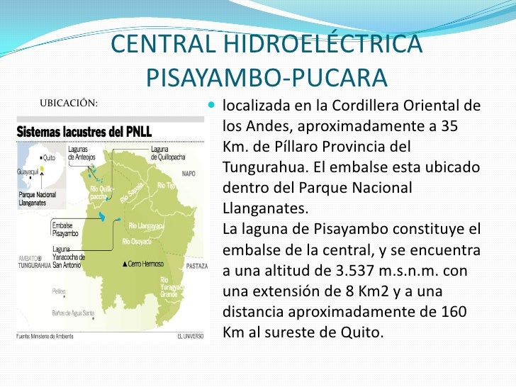 Las hierbas y la raíz para la potencia
