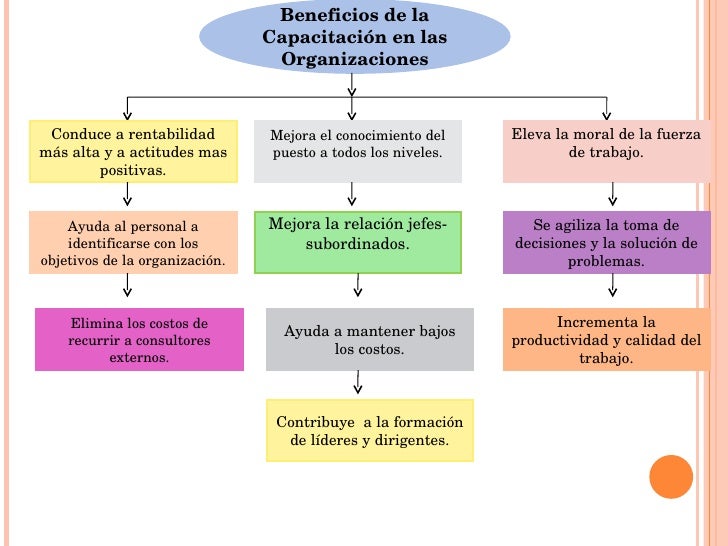 El aumento del miembro los andrógenos