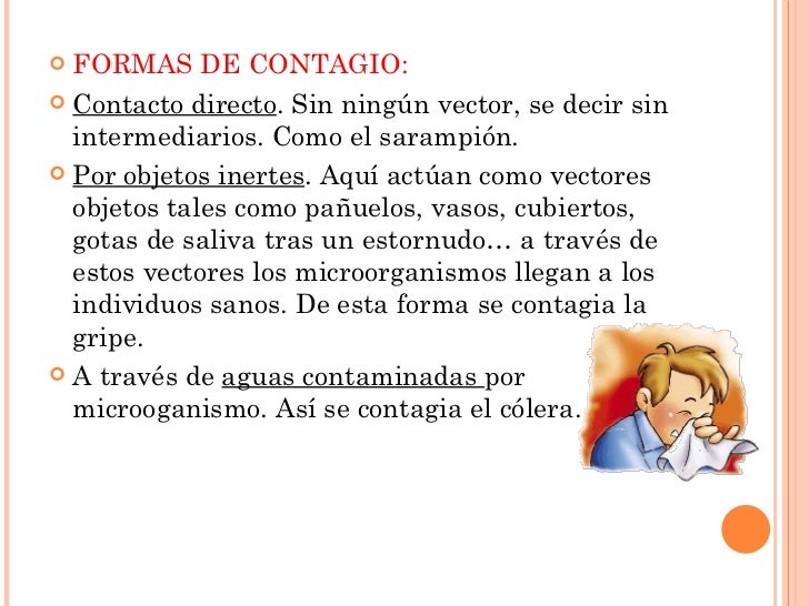 Al gato de las lombrices el medio