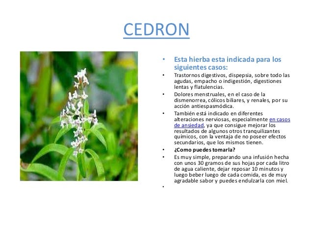 Adelgazar las recetas el apio