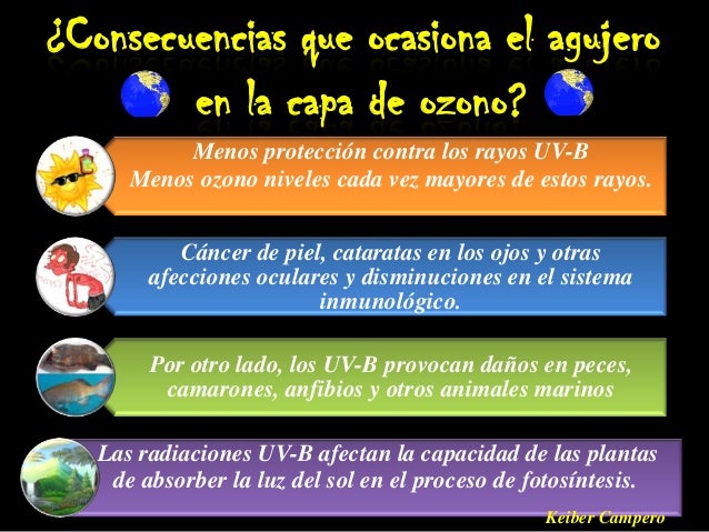 Los complejos para el adelgazamiento el gimnasio
