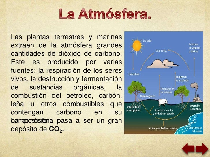Como hacer el masaje de la impotencia
