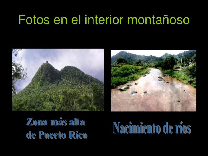 Pico Mas Alto De Puerto Rico