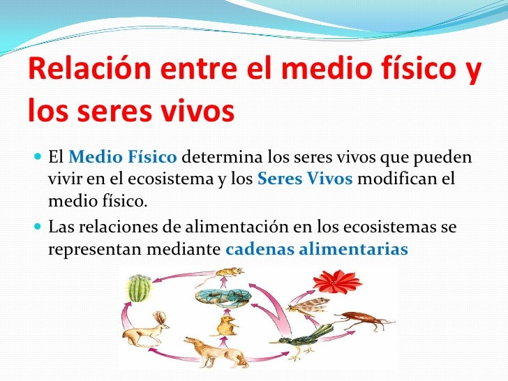 Presentación de los ecosistemas pdf