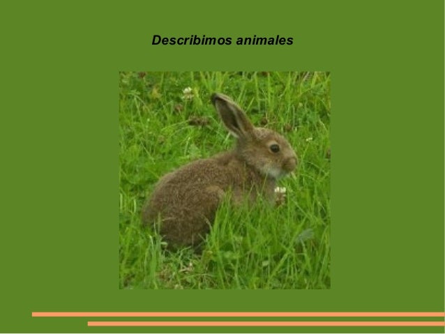 Presentación describir animales