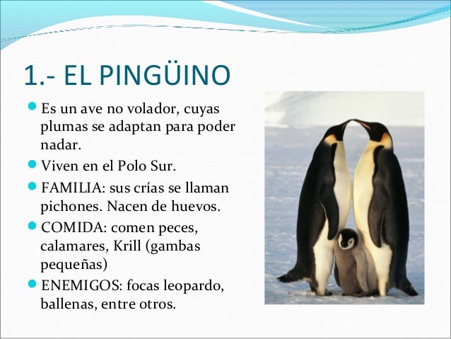 1.- EL PINGÜINO
Es un ave no volador, cuyas
plumas se adaptan para poder
nadar.
Viven en el Polo Sur.
FAMILIA: sus crí...