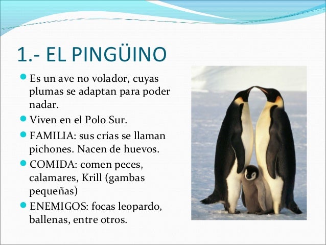 1.- EL PINGÜINO
Es un ave no volador, cuyas

plumas se adaptan para poder
nadar.
Viven en el Polo Sur.
FAMILIA: sus crí...