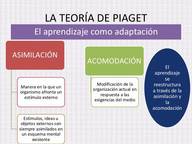 Presentación psicosocial piaget