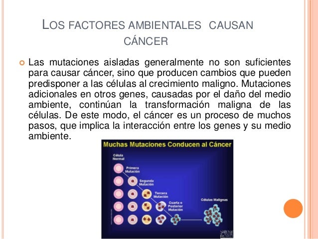 Los Tumores Benignos Se Pueden Convertir En Malignos