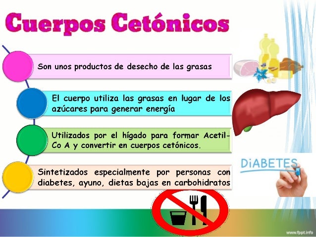 podrian explicarme el metabolismo de los carbohidratos?? | Yahoo Respuestas
