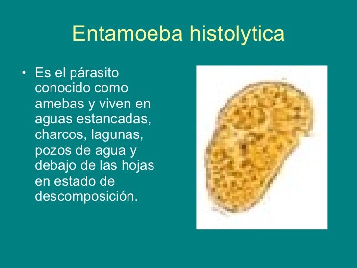 Las pastillas de la liberación de las lombrices