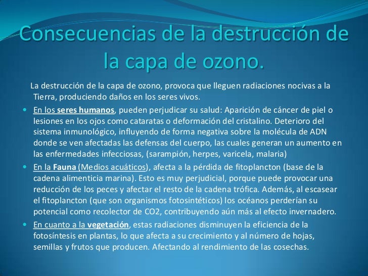 El foro adelgazar no es delgado
