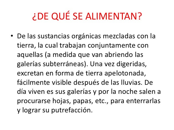 Los parásitos que se encuentran en las personas