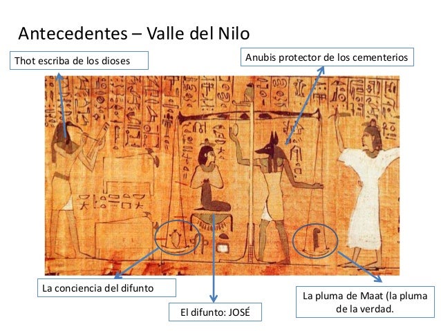 Quien ha aumentado los pechos por el lúpulo