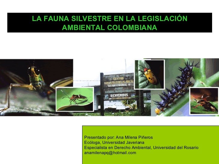 Presentacion fauna de colombia