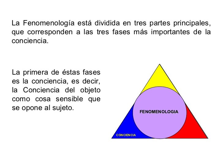Presentacion husserl metodos