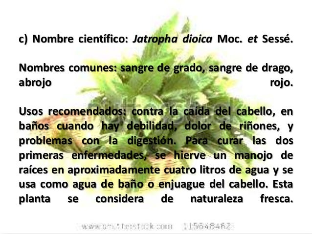 Fito la cosmética la máscara para los cabellos de alquitrán las revocaciones