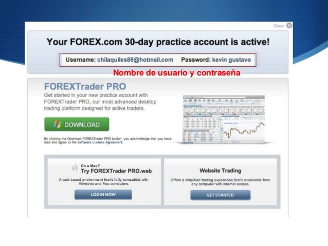 Noticias forex divisas