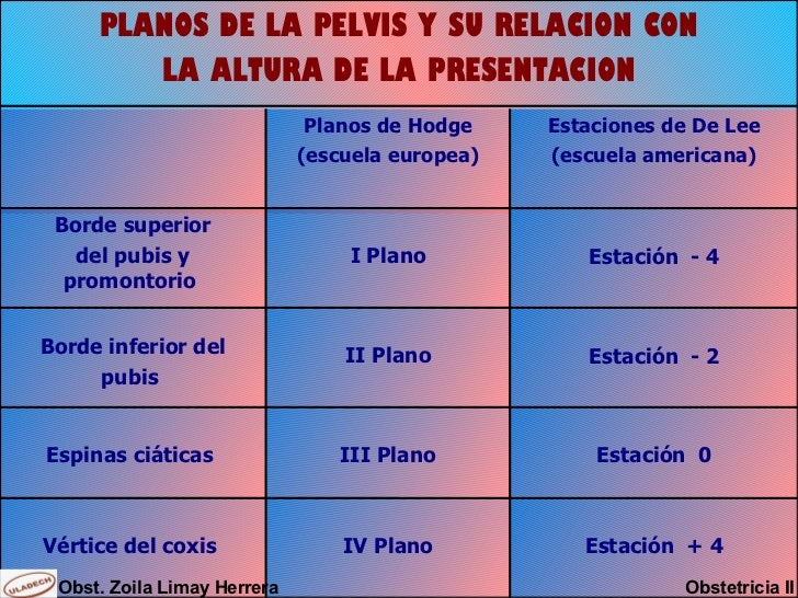 Modificaciones cervicales y descenso de la presentación