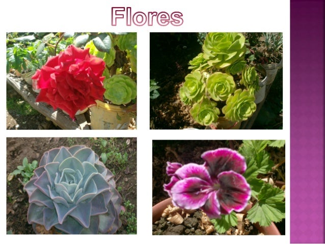 AYABACA Y SUS ENCANTOS