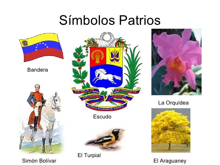 Imagenes Los Simbolos Patrios De Venezuela | imagenes de los simbolos patrios y naturales de venezuela Imagenes Los Simbolos Patrios De Venezuela | imagenes de los simbolos patrios y naturales de venezuela