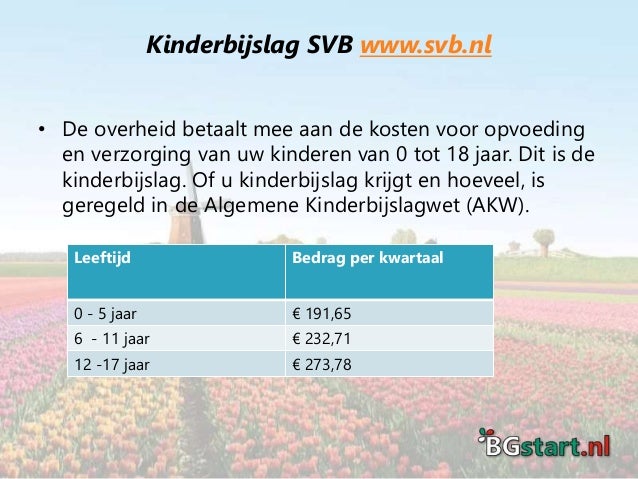 Presentatie Het belastingstelsel in Nederland