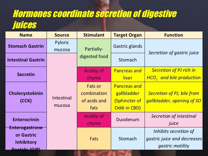 chemical digestion