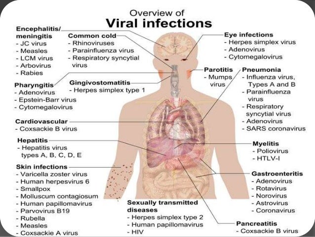 Adverse Drug Reactions: Types and Treatment Options ...