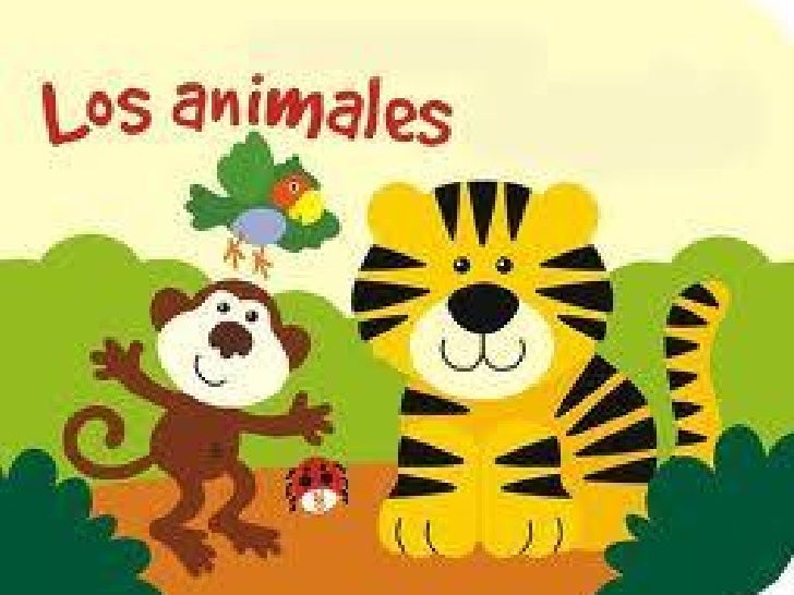 LA IMPORTANCIA DE LOS ANIMALES la importancia de los animales: