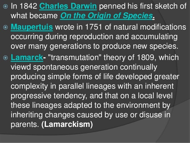 darwin essay 1842 darwin essay 1842