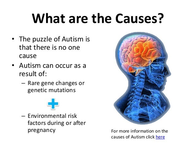 an overview of the complex disability development autism This fact sheet provides a brief overview and resource list from the center for disease control and prevention (cdc): frequently asked questions general information about asds what is autism or (cdc) autism and developmental disabilities monitoring (addm. an overview of the complex disability development autism This fact sheet provides a brief overview and resource list from the center for disease control and prevention (cdc): frequently asked questions general information about asds what is autism or (cdc) autism and developmental disabilities monitoring (addm.