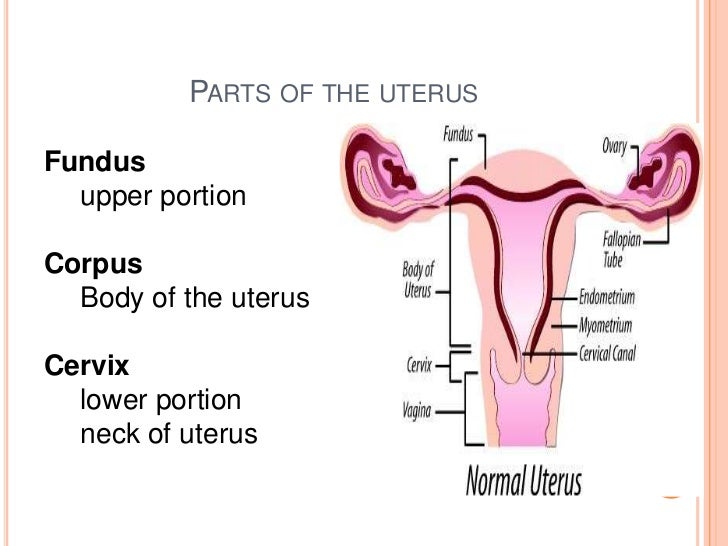 most cancers cervix fotos