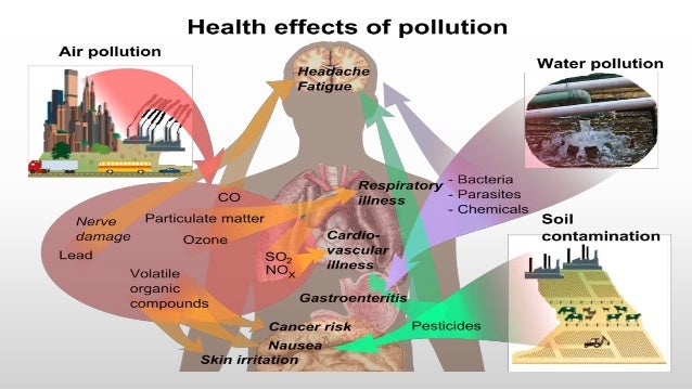 Literature Review On Water Pollution