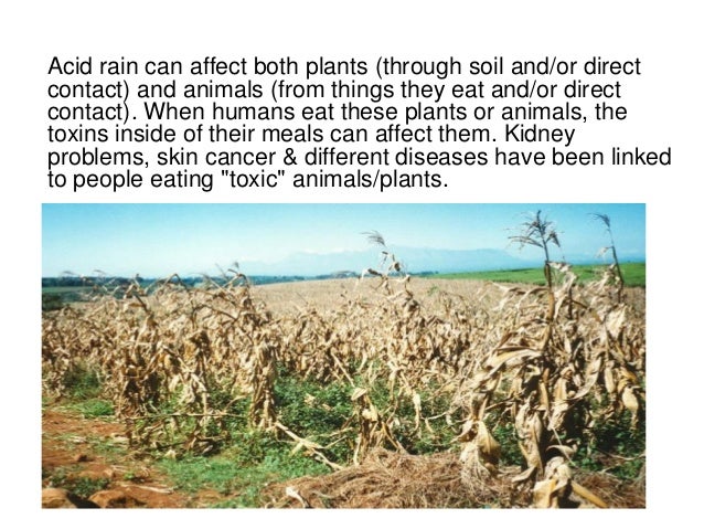 Kidney transplant medscape quanta dialysis device