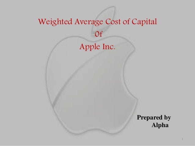 Tesla Motors Harvard Case Study Analysis