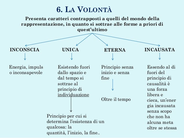 Il Mondo Come Volontà E Rappresentazione Schopenhauer Presentazione Schopenhauer