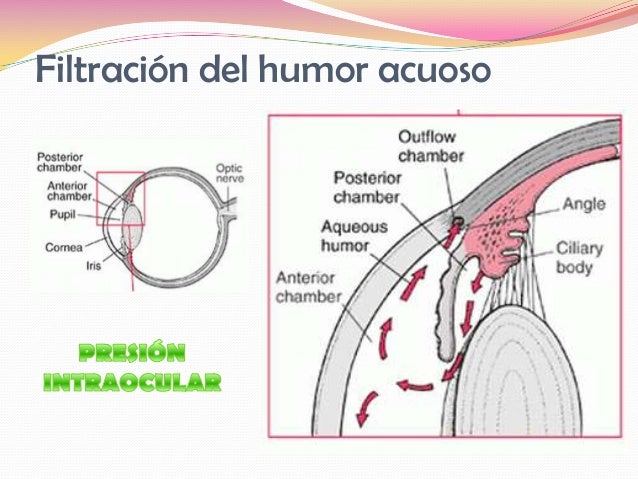 Presi n Intraocular Y Glaucoma Presi n Intraocular Y Glaucoma