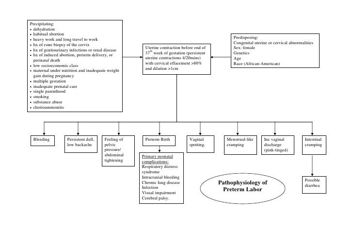 What Is Hyperemesis Gravidarum recommend What Is Hyperemesis Gravidarum forecasting