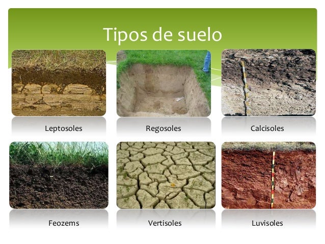 Proyecto Escolar Ciencias Naturales