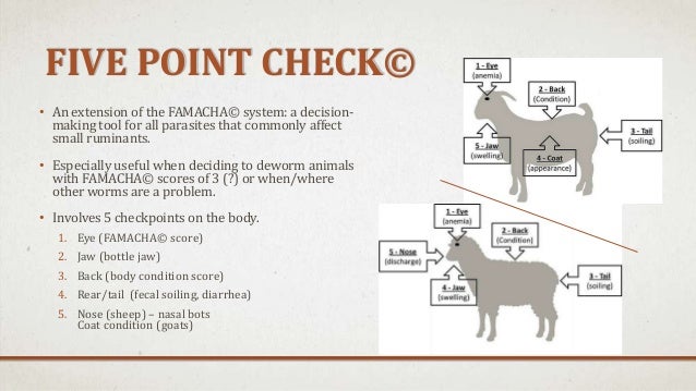 preventative health fecal scoring chart