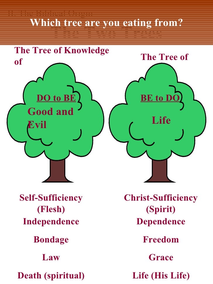 an analysis of tree of the knowledge of good and evil In this study i would like to study the tree of the knowledge of good and evil, that was found in gan eden mixing good and evil the tree of the knowledge of good and evil contained fruit that was a mixture of good and evil. an analysis of tree of the knowledge of good and evil In this study i would like to study the tree of the knowledge of good and evil, that was found in gan eden mixing good and evil the tree of the knowledge of good and evil contained fruit that was a mixture of good and evil.
