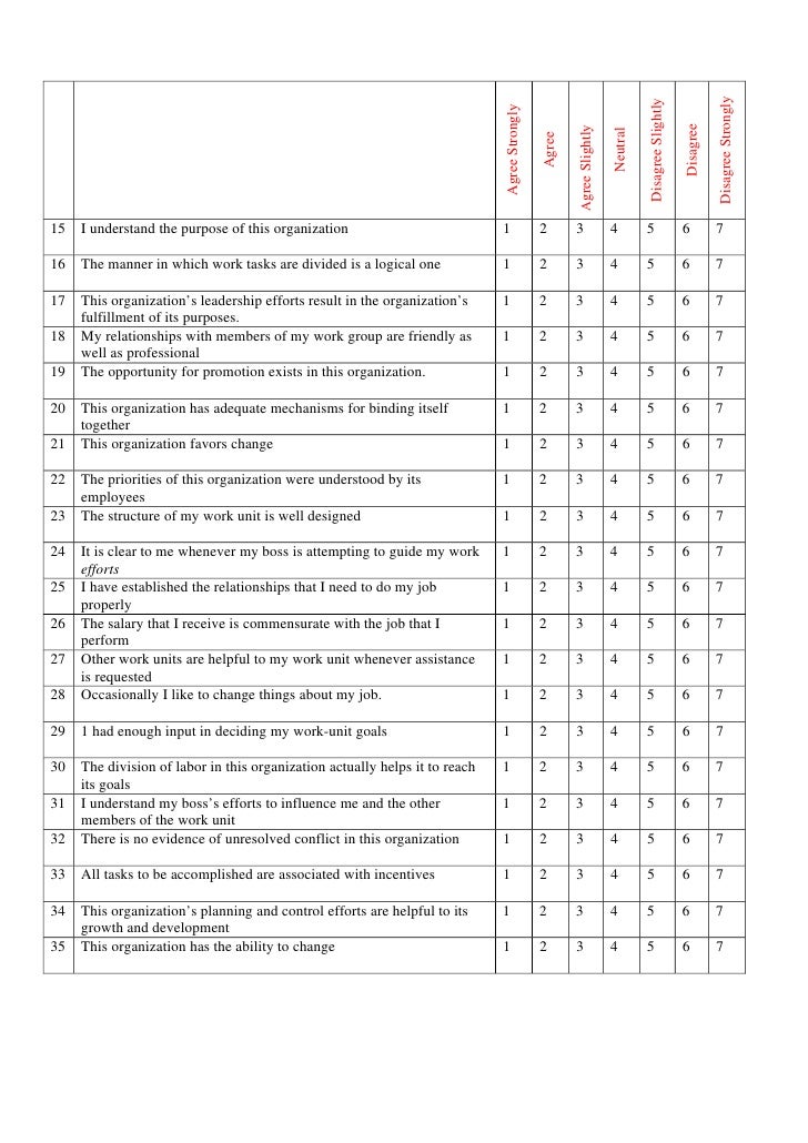 Organization essay